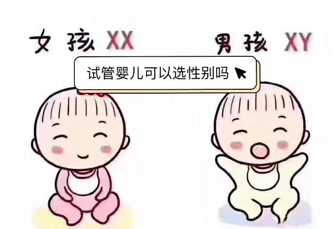 试管婴儿可以选择性别吗.jpeg