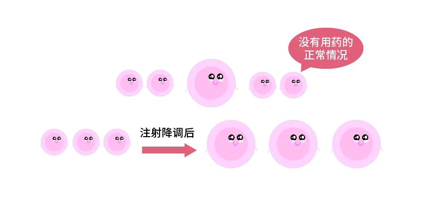 试管婴儿降调移植和不降调移植成功率区别.jpg