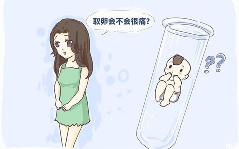 试管婴儿取卵对女人身体伤害大吗?.jpg